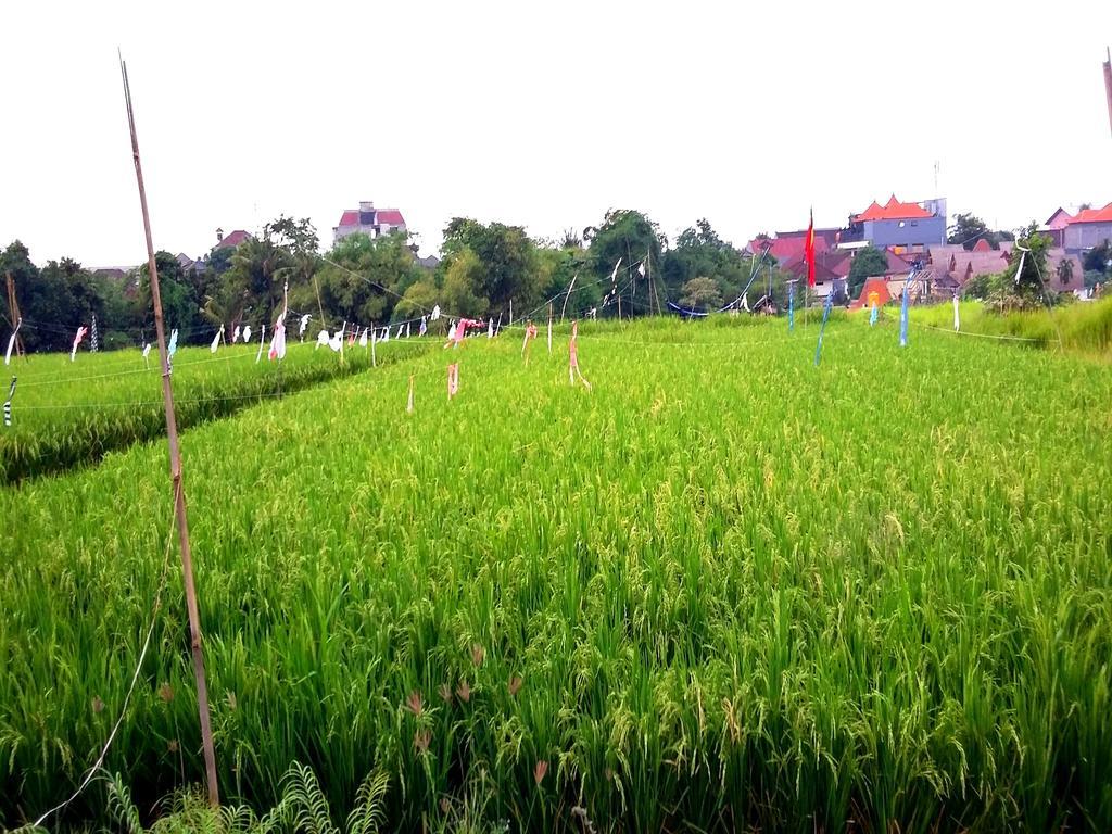 Reddoorz At Kerobokan Seminyak 2 Εξωτερικό φωτογραφία