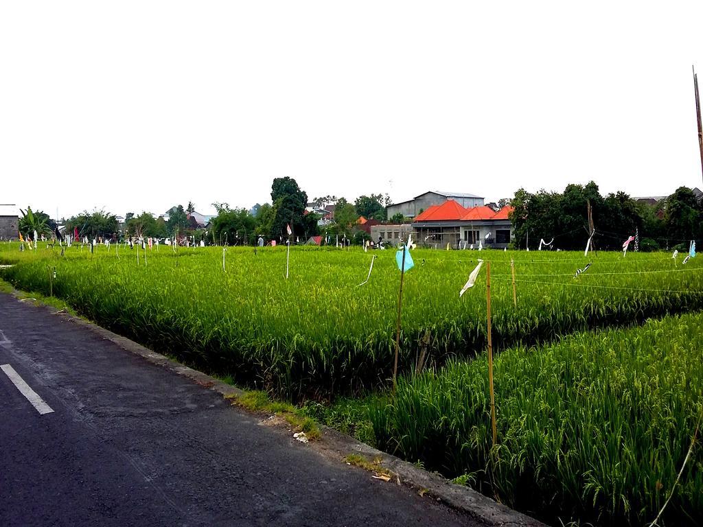 Reddoorz At Kerobokan Seminyak 2 Εξωτερικό φωτογραφία